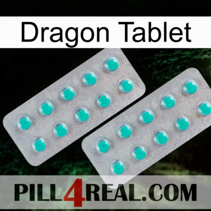 Dragon Tablet 29